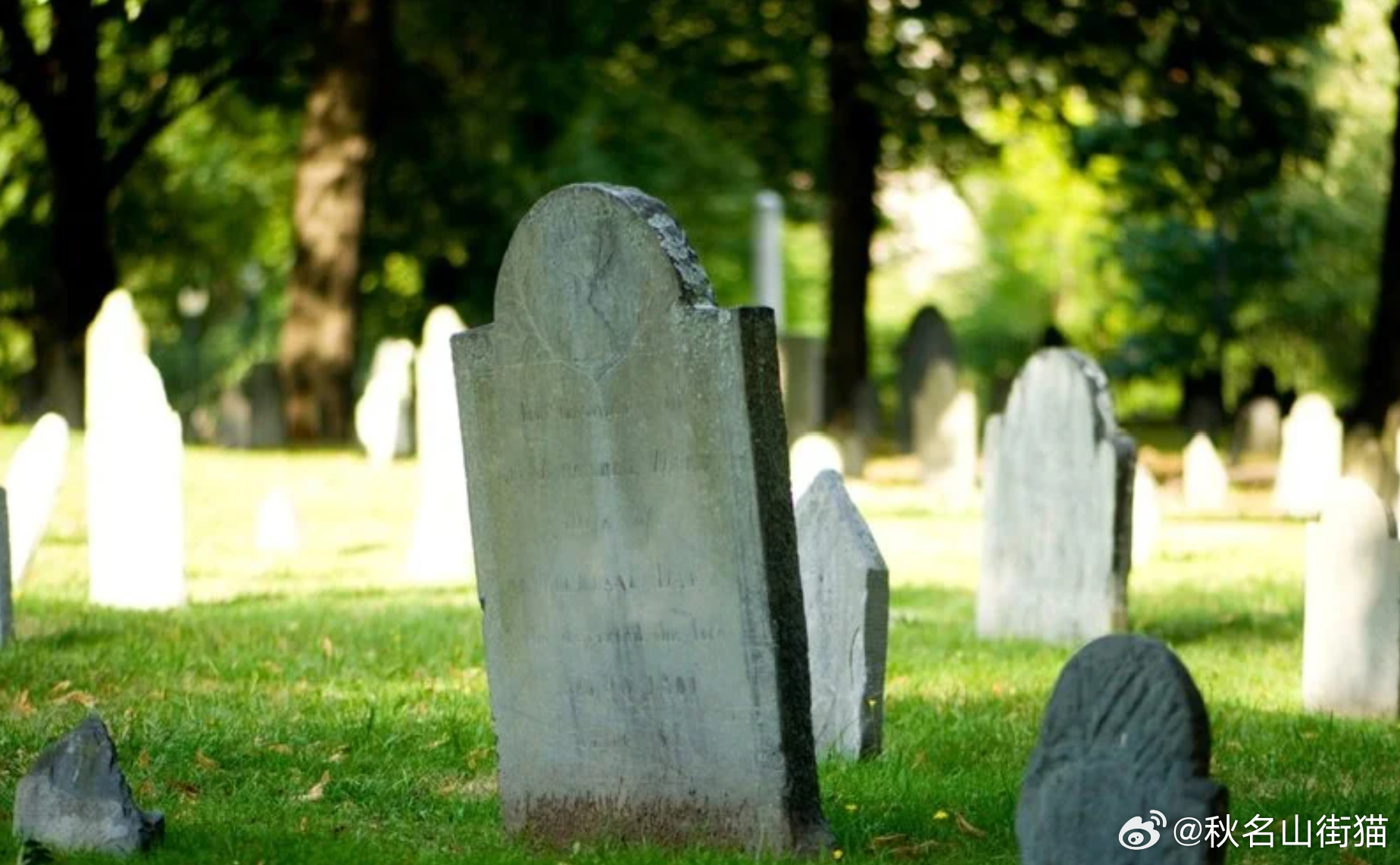 马来西亚墓地不雅事件：一对男女在墓碑前发生性行为被当场拍下，或面临刑责海外新鲜事