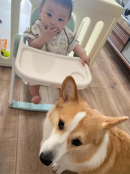 商家嘴里出餐，骑手地上捡餐