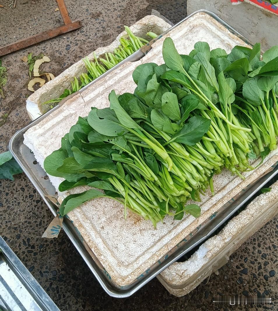 赶集了！今天赶即墨的张烟集。一大清早六点急匆匆的去赶集，去买菜。

老规矩，报菜
