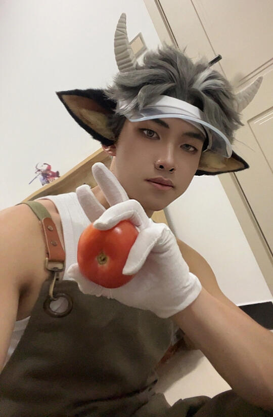 万顷田园皮