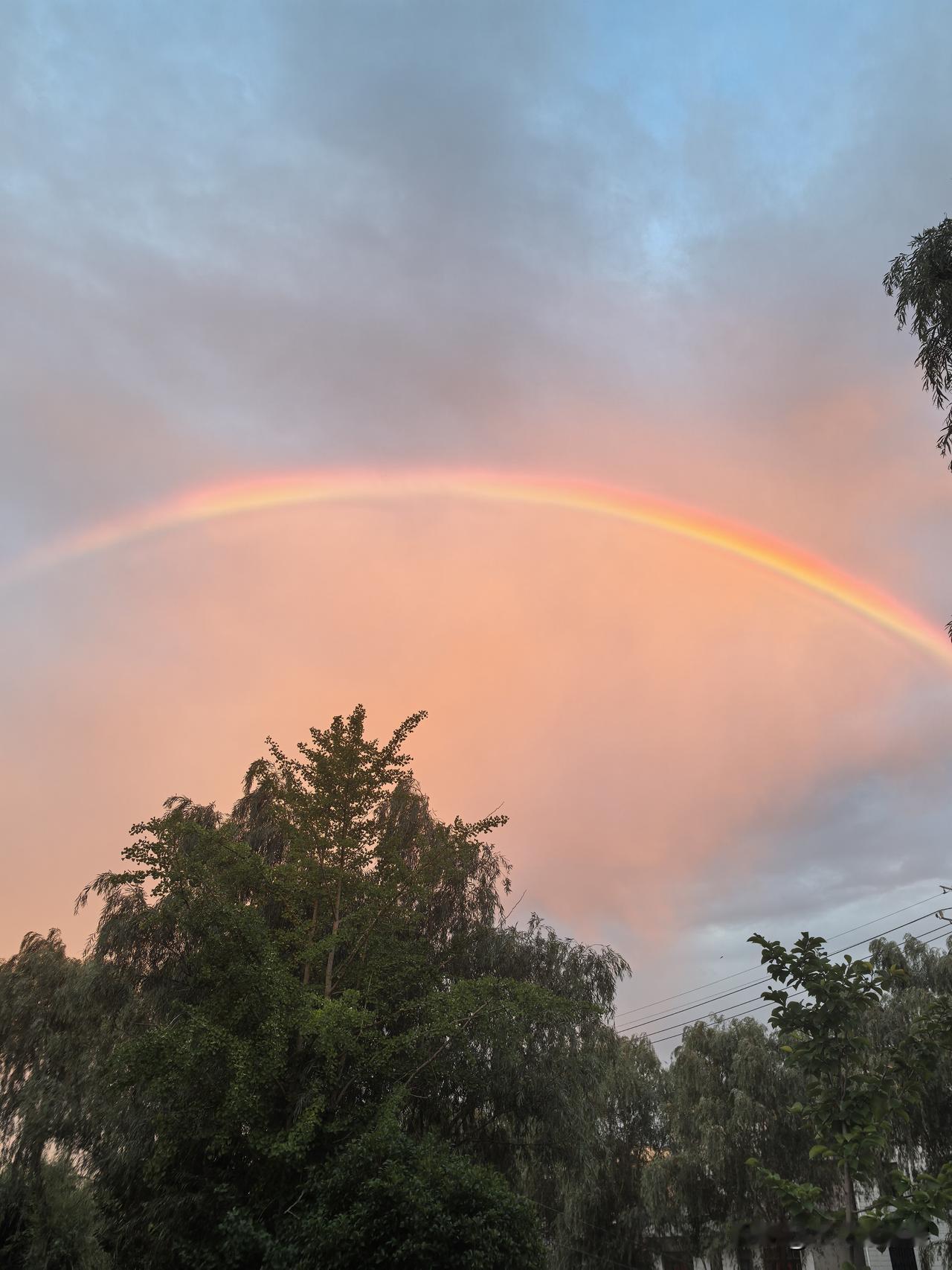 雨后遇虹，晚风知夏。连日的暑热，被一场傍晚的细雨温柔消解。淅淅沥沥的雨声渐渐停歇