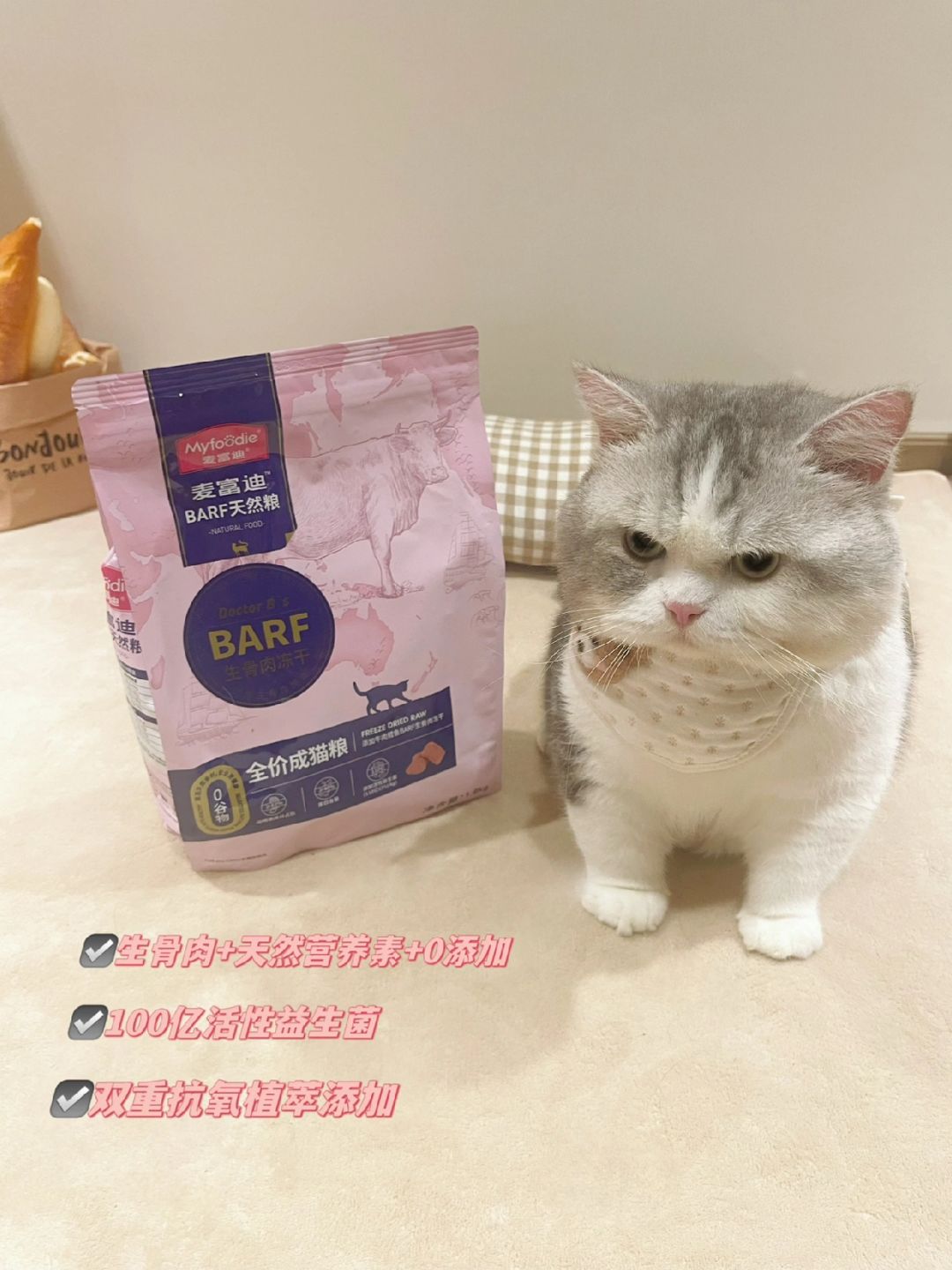 跟瘦子猫打架打输了