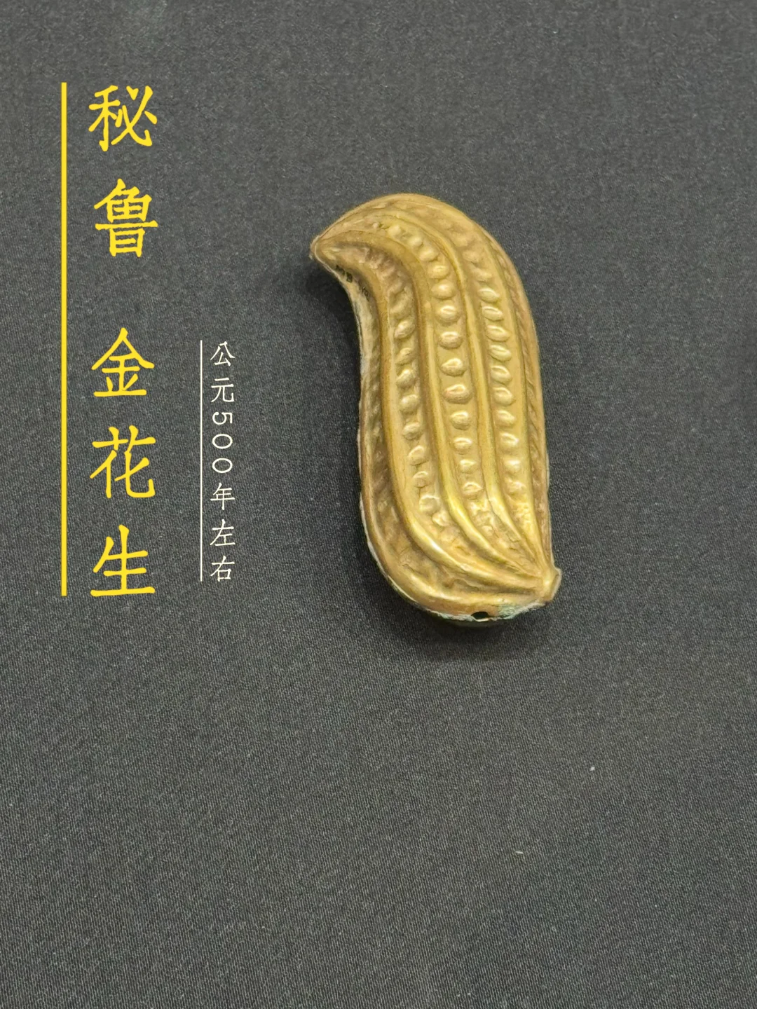 第一次在博物馆 ，见到花生！