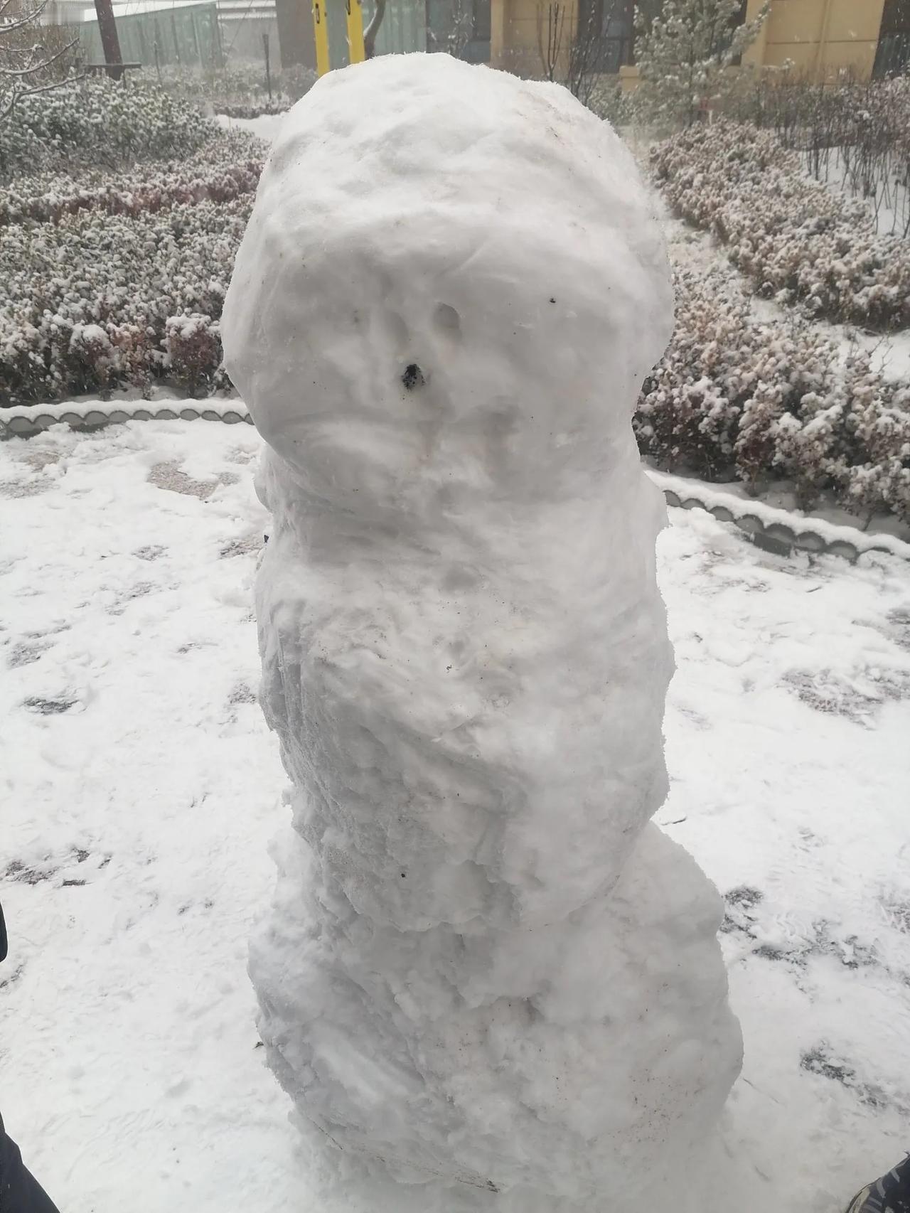 沁园春
留不住的雪人
陇东庆阳，数九寒天，北风呼啸。大雪纷纷扬，降雪增量，田野茫