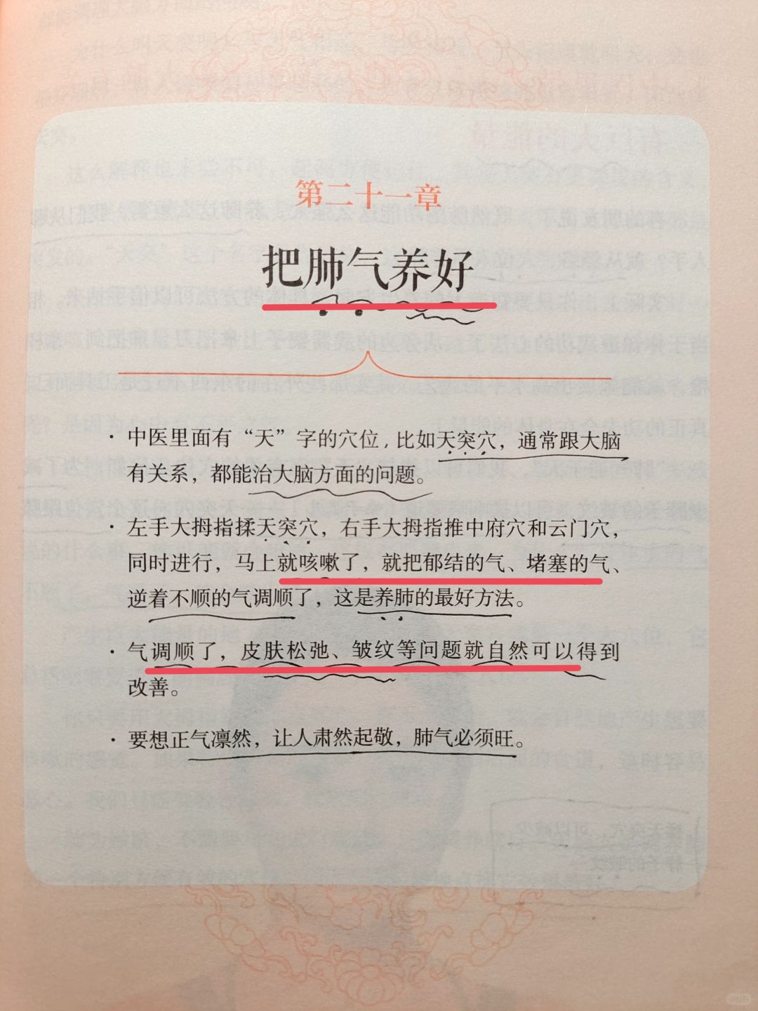 黄帝内经——养好肺气，绝了🔥🔥
