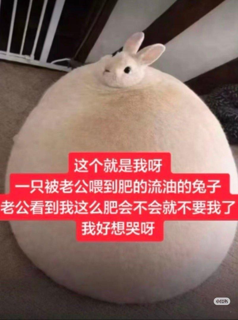 那种婚后羡发给叽，含光君先用手指轻轻摸了摸表情包里🐰的耳朵，才开始认真打字：不
