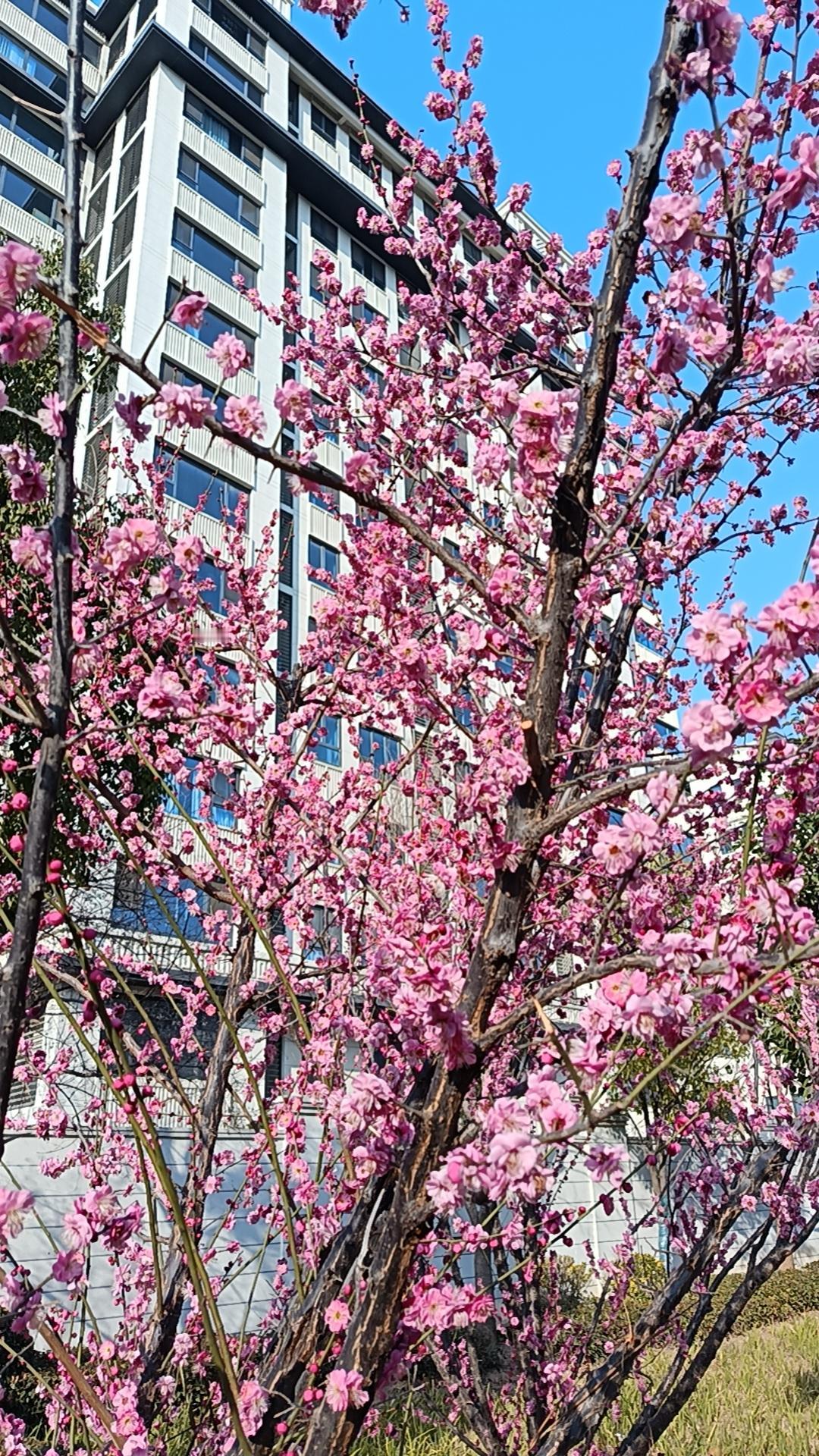 人生就是一场充满遗憾的旅程，有些遇见，注定只能是一场遗憾的离别。
年少时，我们曾