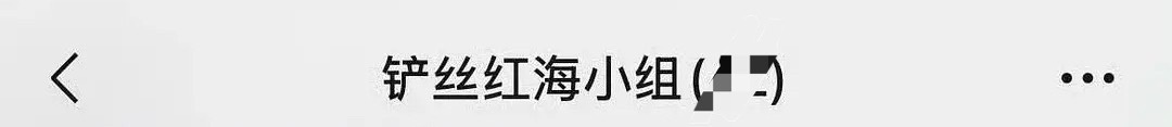 铲丝攻打青岛（图二p/w的👗名都改成铲丝红海小组了我一直笑）和苏新皓共赴耀眼盛