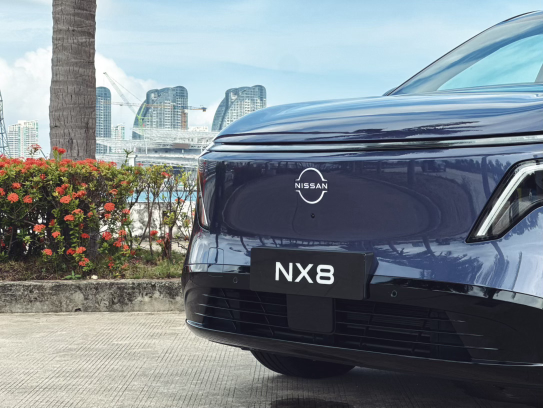 海风椰林树影，忍不住多拍几张东风日产nx8