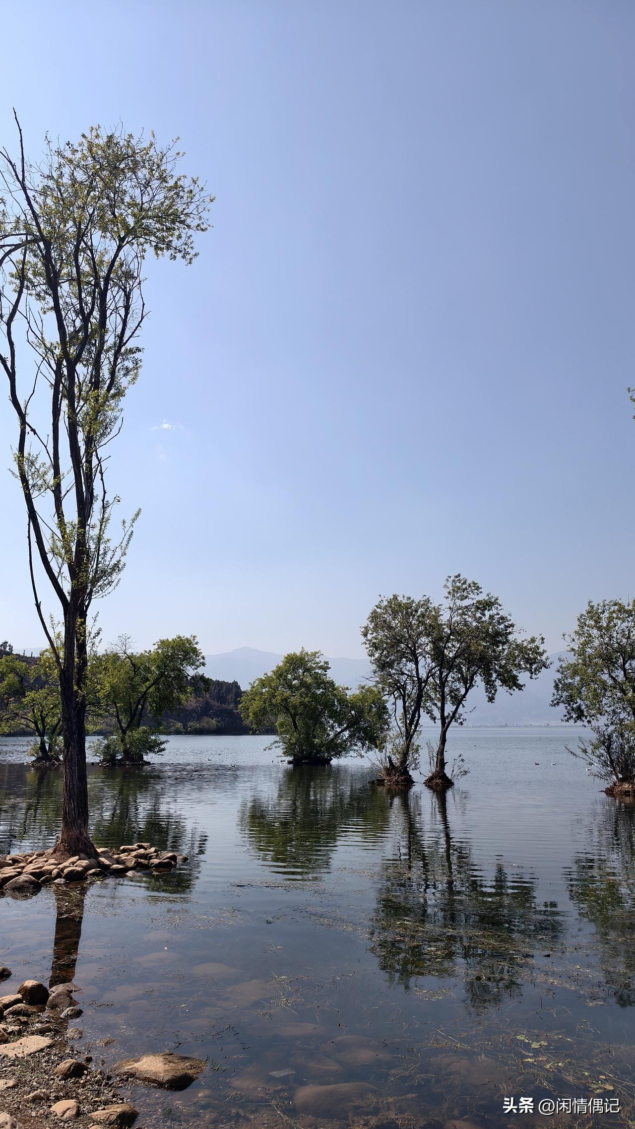 “无论在谁面前，只要你不欠他的，就没必要唯唯诺诺，你的软弱，会让对方更加看不上你