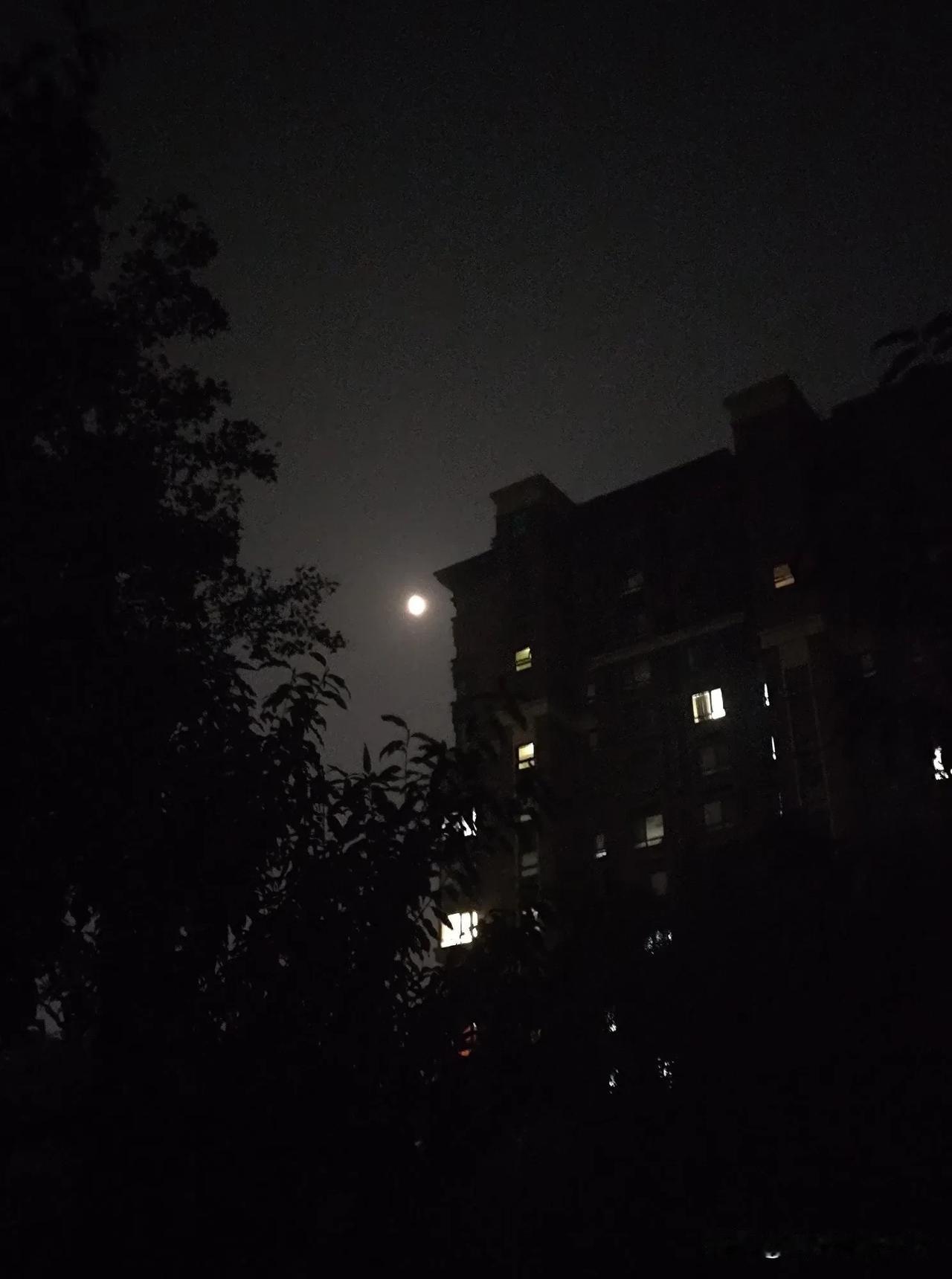 静静的夜晚[玫瑰] 
#随手记录秋日生活# 
#小区院内随手拍# 
#深秋##散