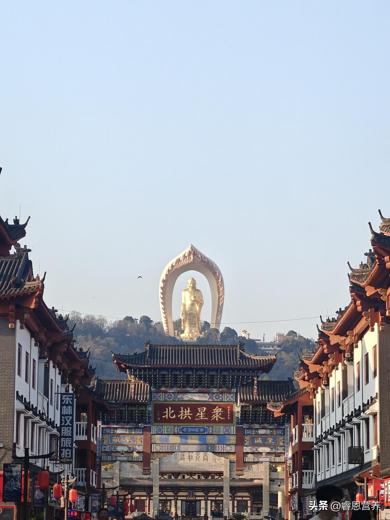 【春季养生】润肠通便正当时：给老年朋友的一份“顺时而食”指南

春天是万物生发的