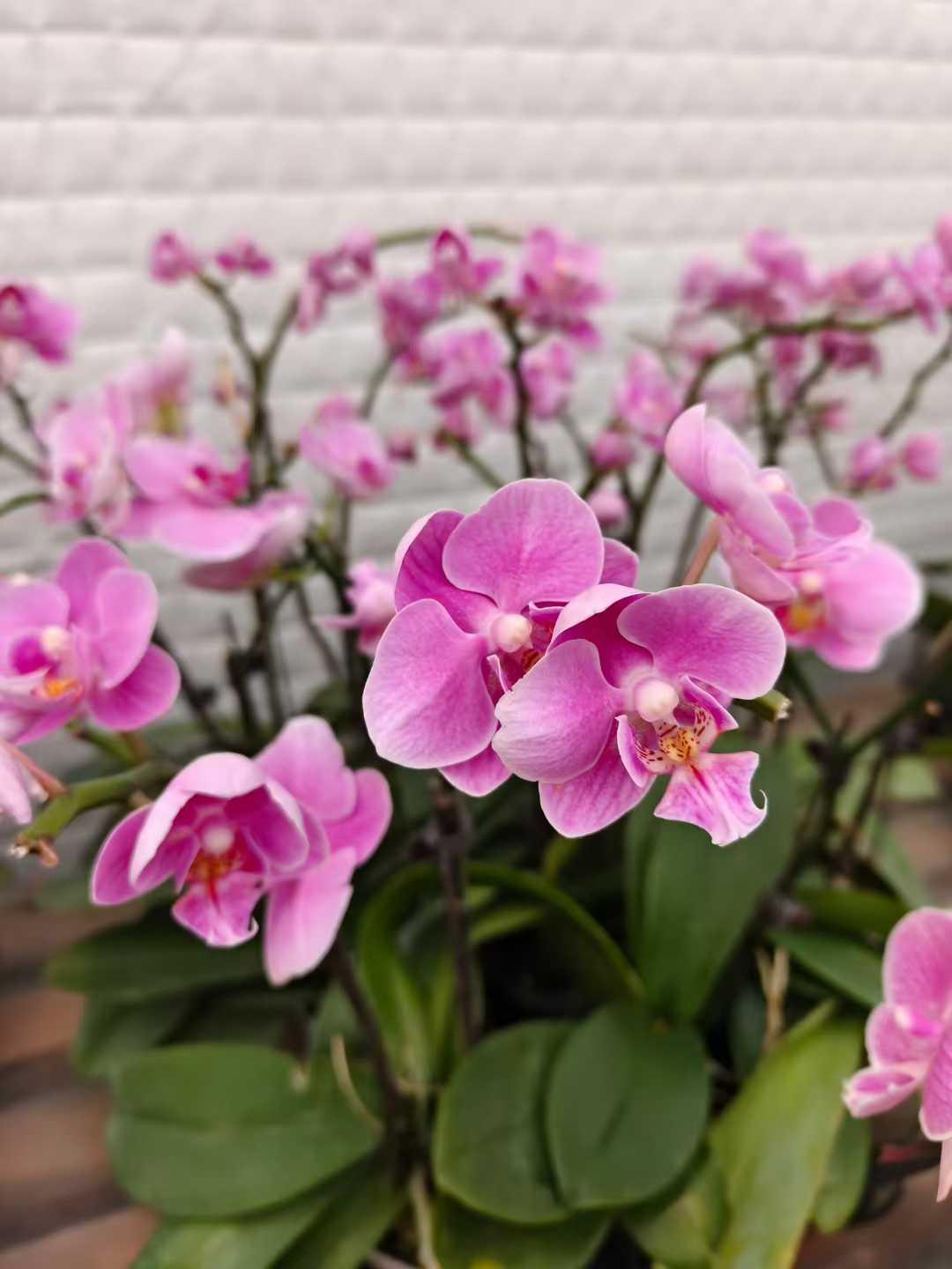 一个残酷的真相：你所有的头衔，总有一天都会退场。到那时，唯一能为你“上场”的，只