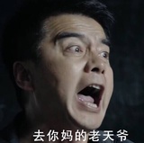 圆毛毛爱品汽车