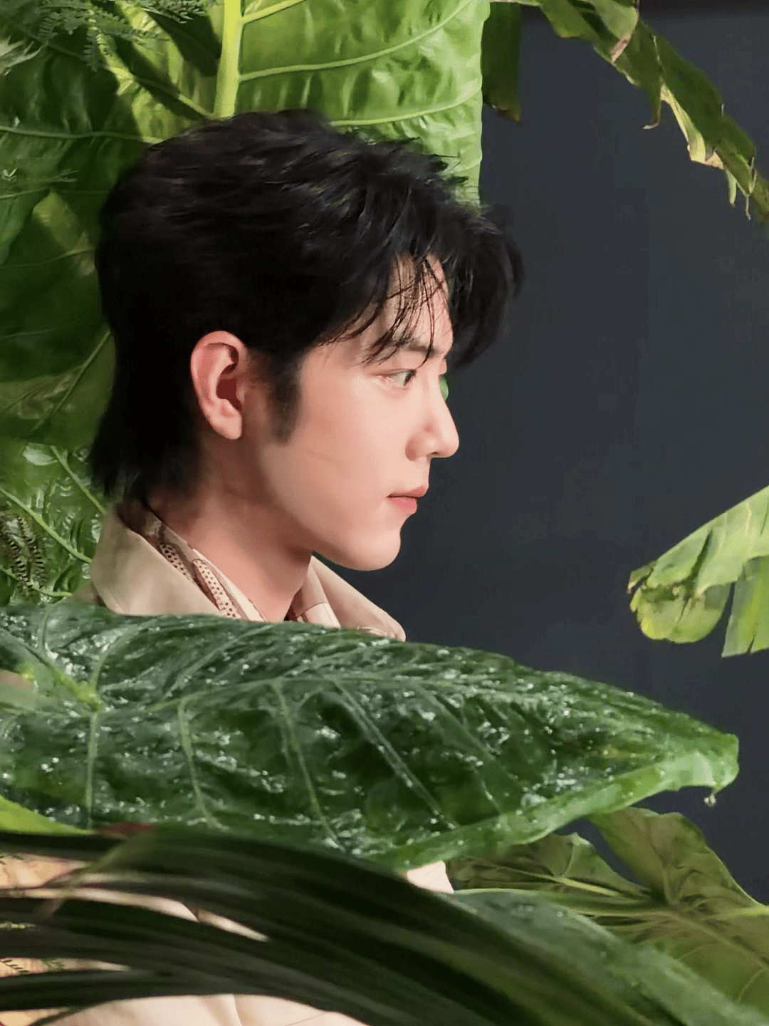 像个小猫咪躲在丛林中🍃大se狼俺来啦～必须拖出来 酱酱酿酿让俺看看衣服下面粉色