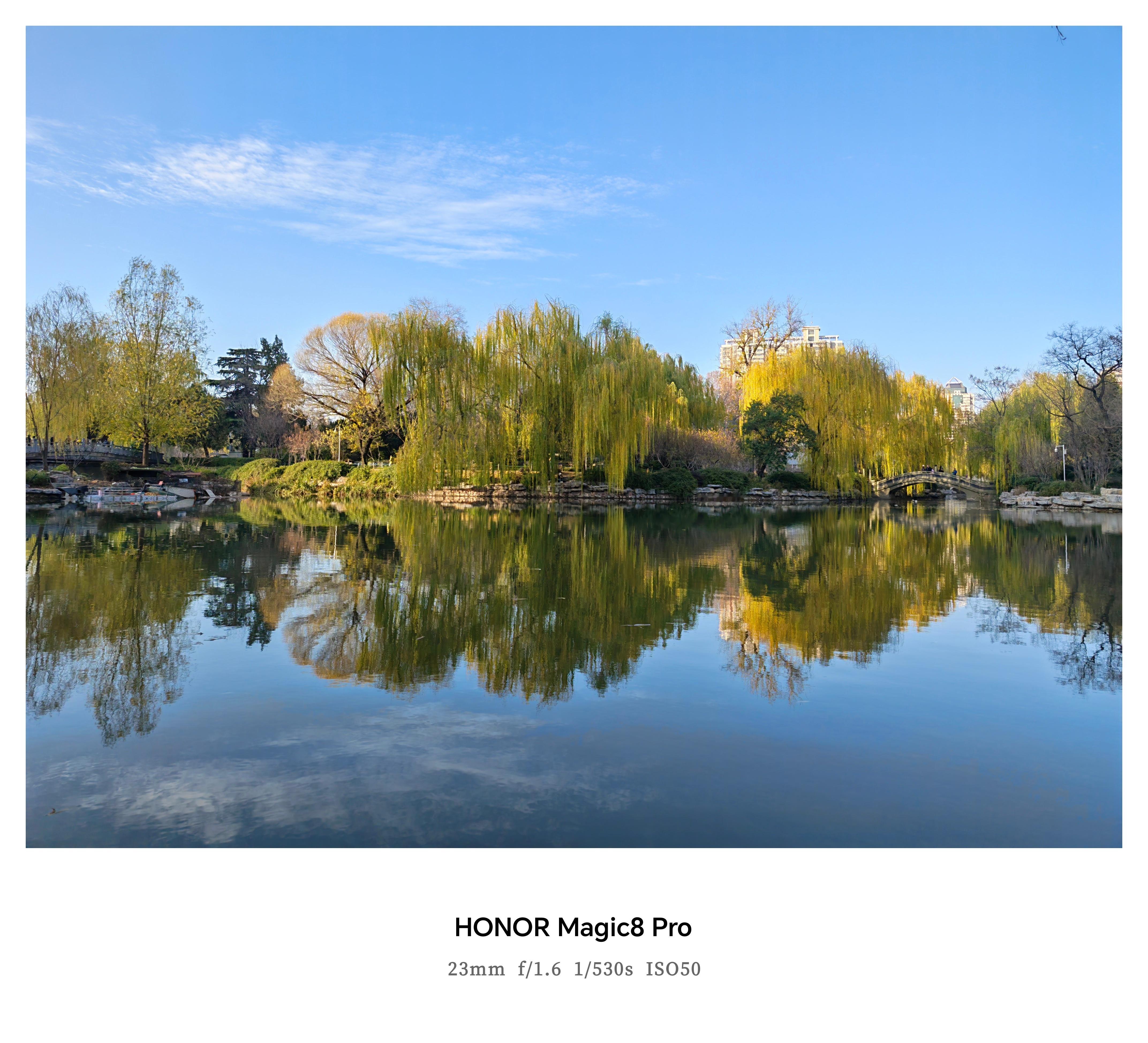 深秋随拍，叶子落得差不多了！不过这代荣耀Magic8Pro影像真滴很出片。 