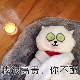 嫣慧吹科技