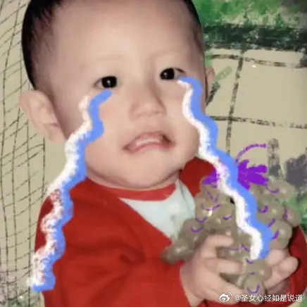 真的就是很想一只猪 