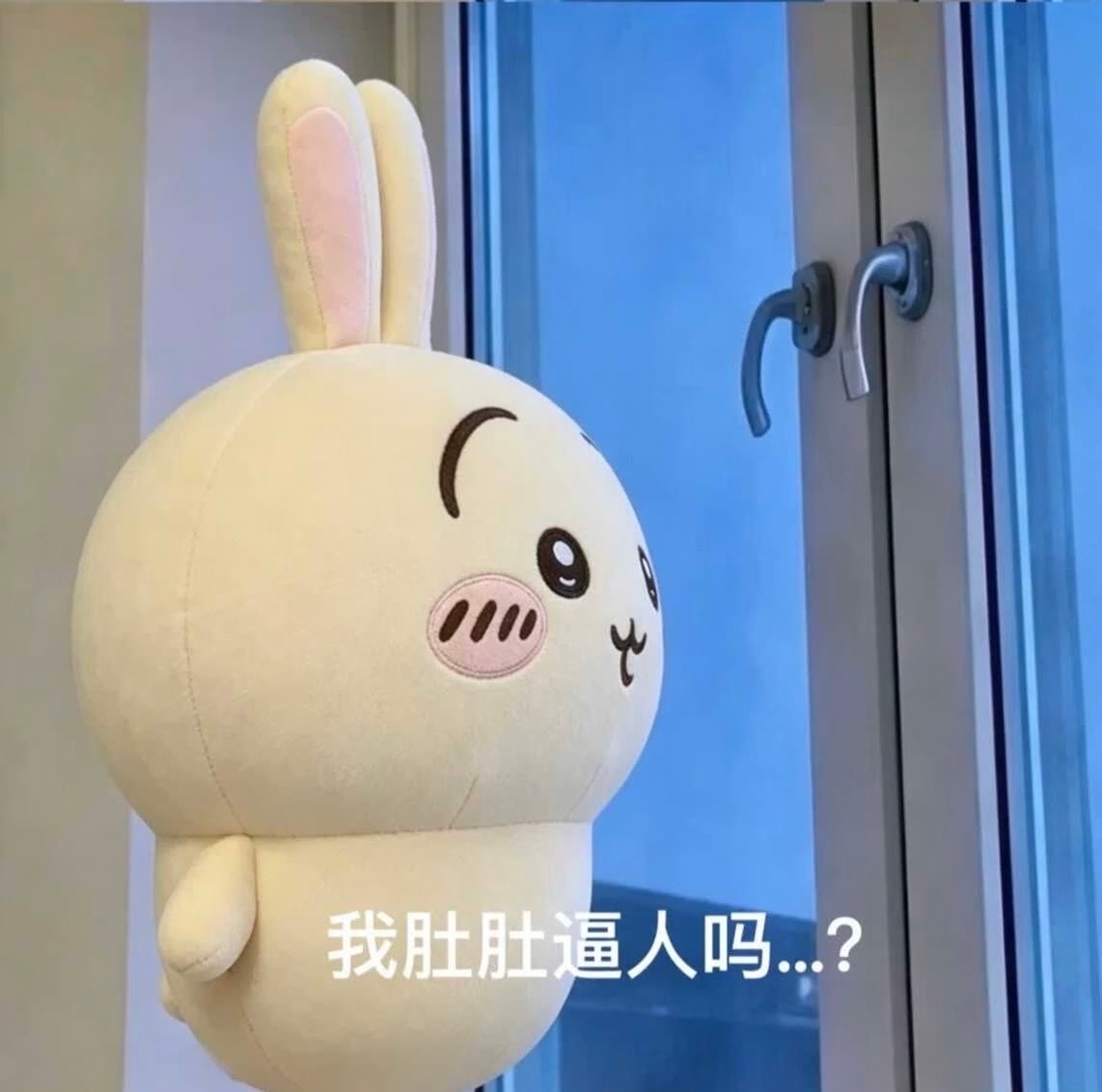 我怎么才看到敏子肚肚这个梗 领先表情包届一年 