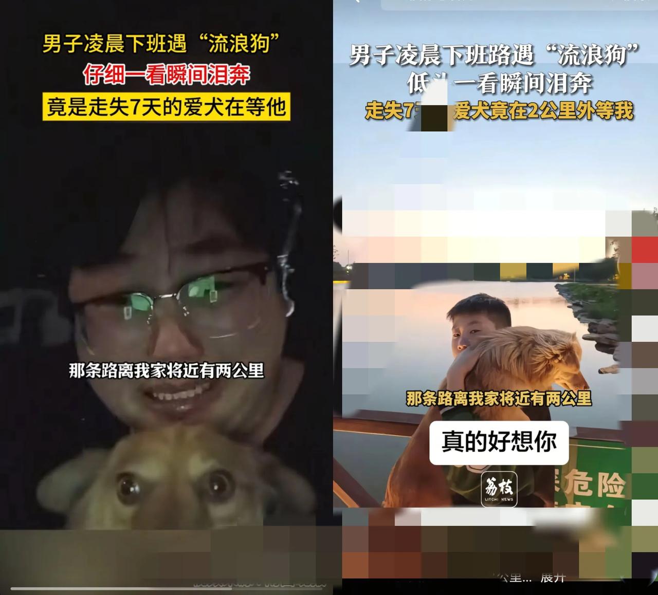 凌晨的路口，一盏路灯孤零零亮着，却照不亮那个趴在地上的小身影。
        