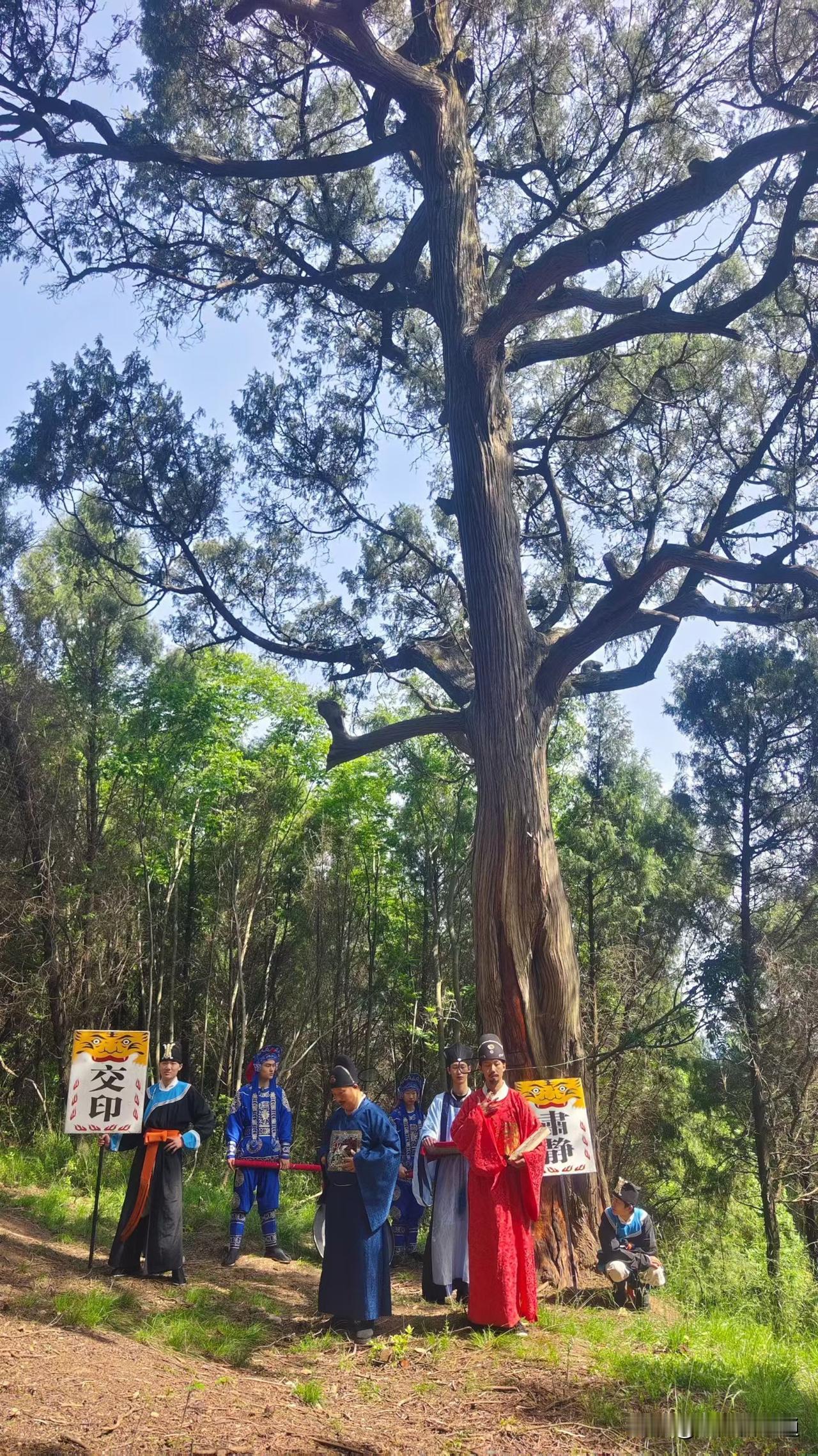 2026年全国徒步大会(四川广元站)暨古蜀道徒步游剑阁分会场活动启动