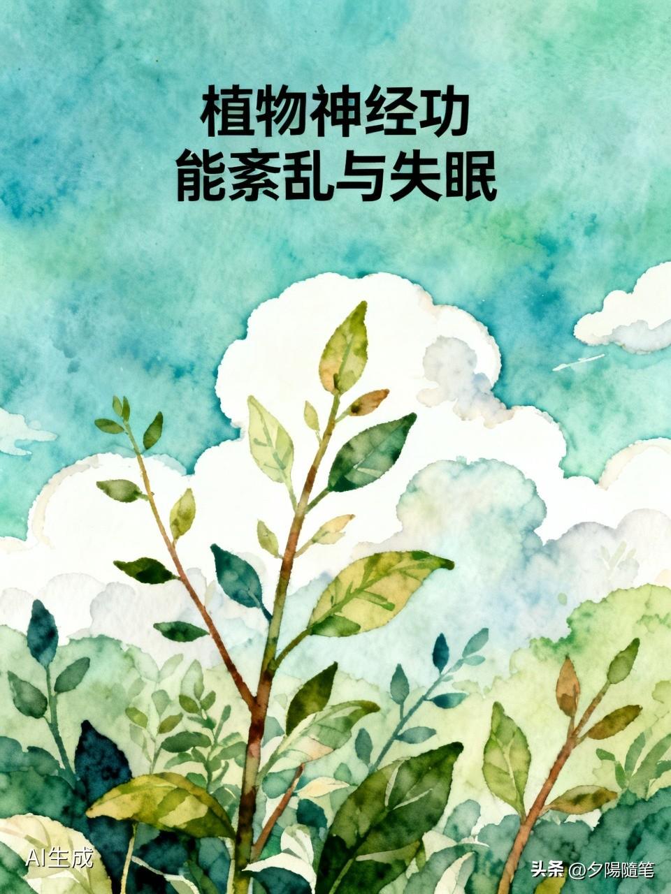 失眠和植物神经功能紊乱这俩关系挺微妙的。我有段时间压力大，天天失眠，结果感觉身体
