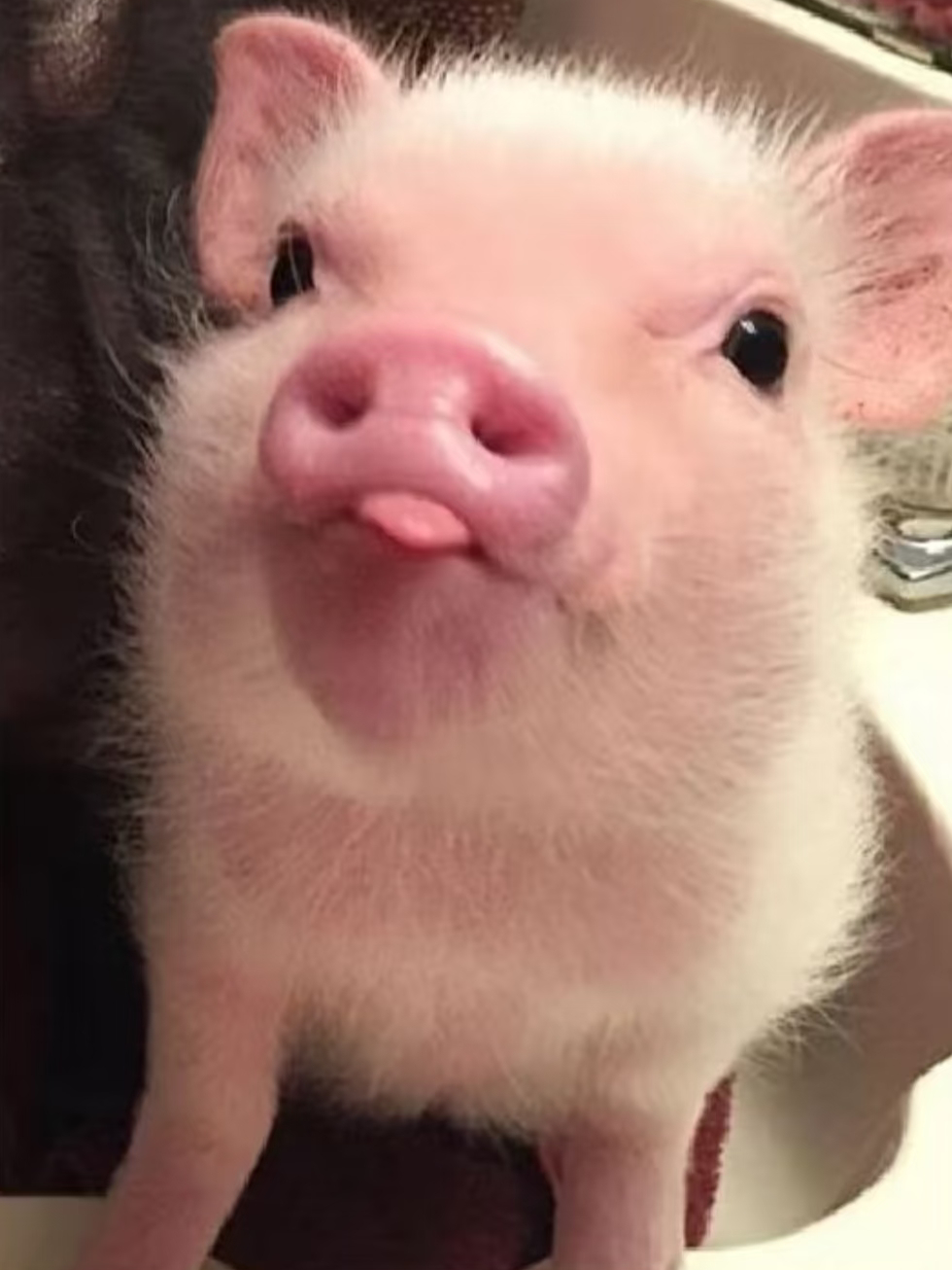 找不同 