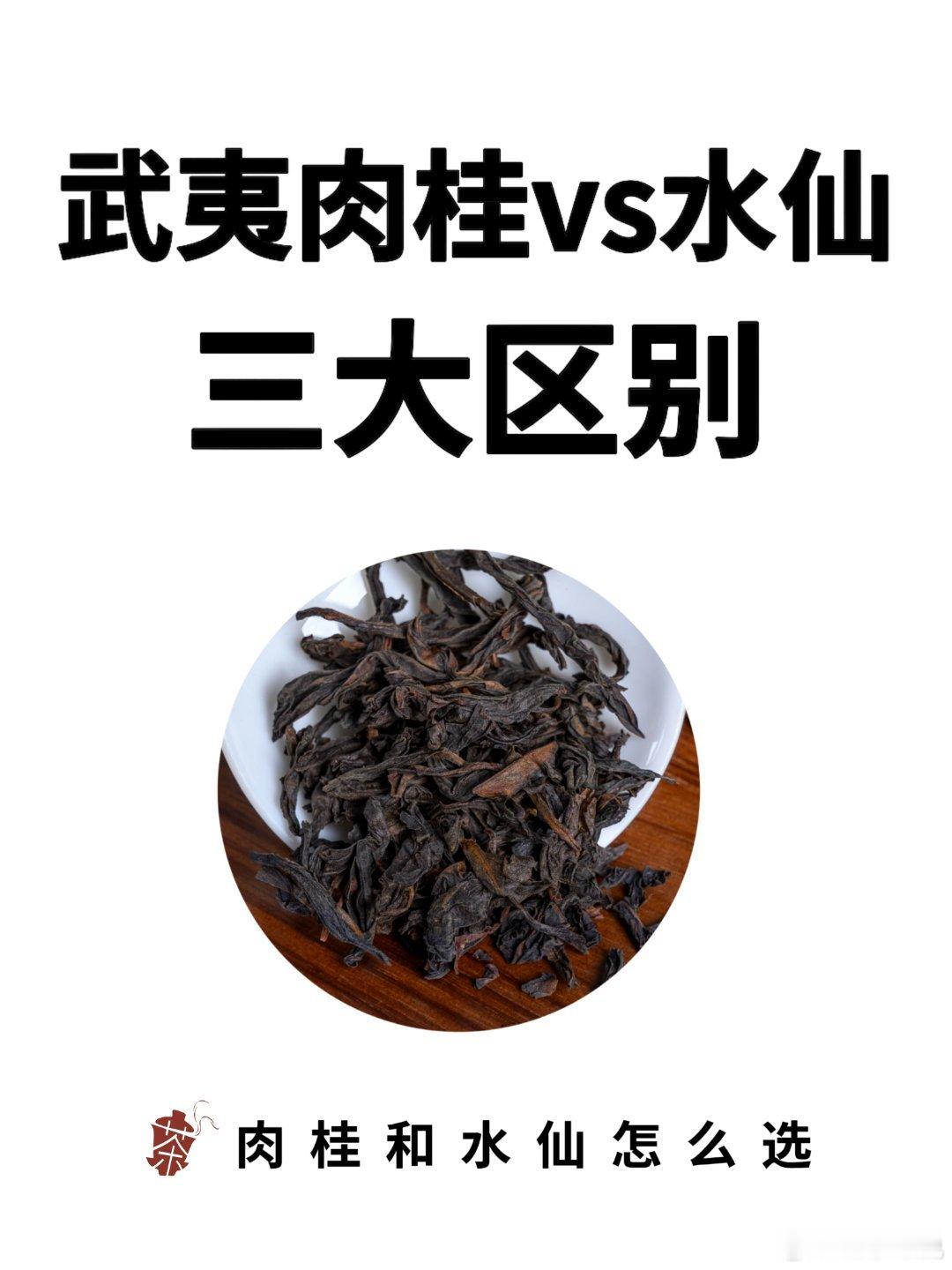 武夷肉桂vs水仙到底有啥区别？买前必看！98%爱喝武夷岩茶的人，一定都听过这句老
