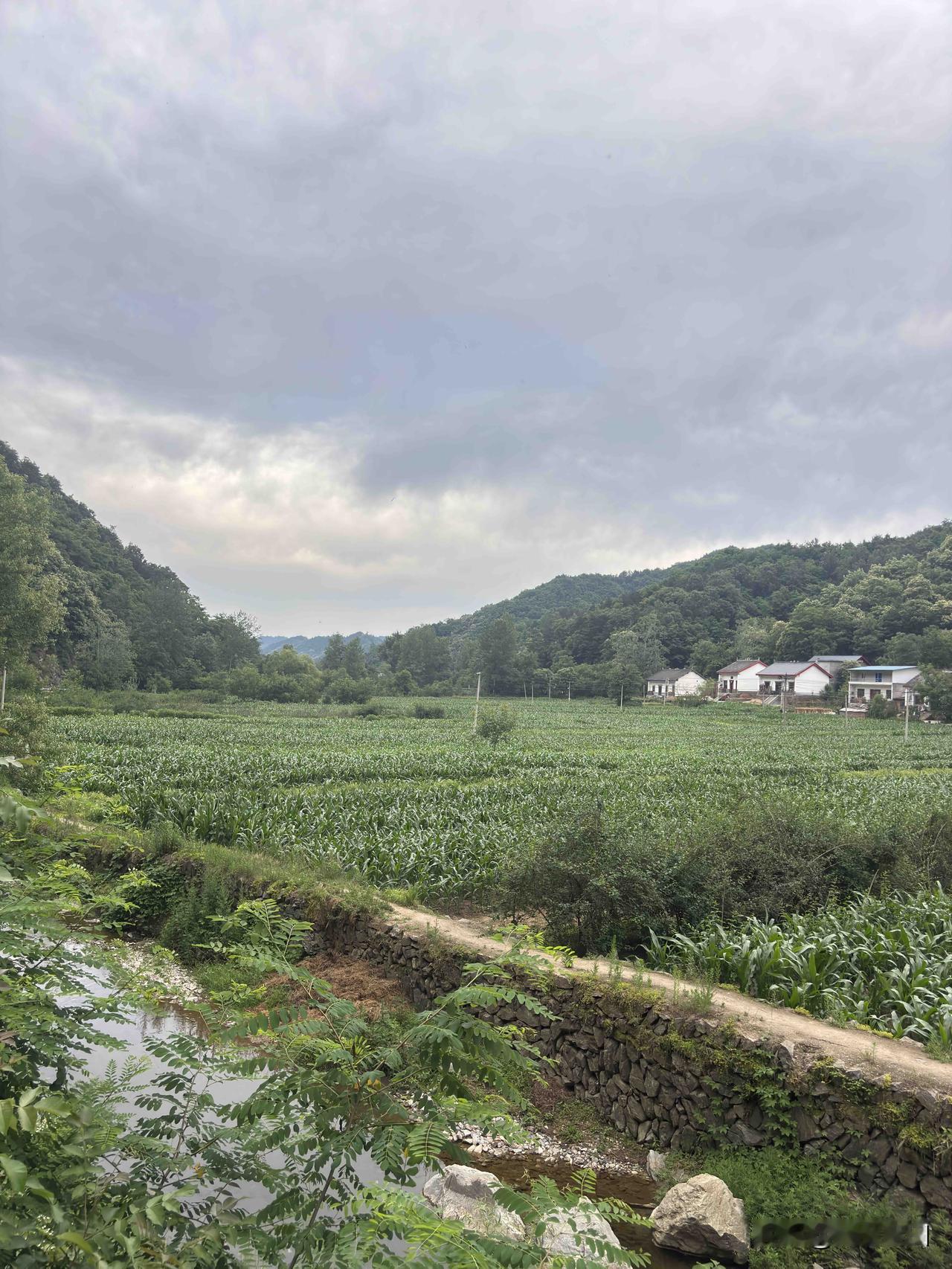 商洛牧护关镇乡村田园风光，这地方你来过吗？这里没在主干道，是山沟里，地图显示木锨