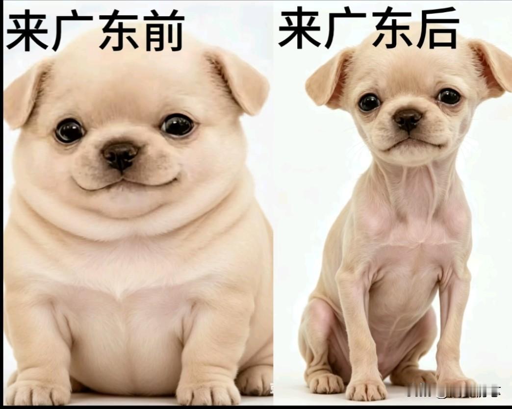 一个人的成熟，表现在他在每个成长的过程中不断地从失败中总结经验，历求在以后的道路