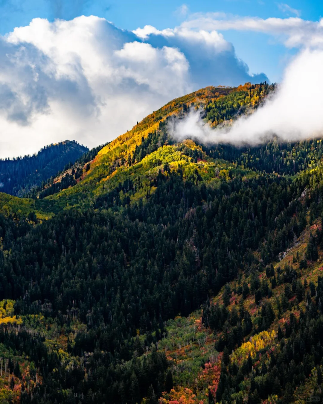 探索漫山遍野的秋色，解锁最上镜的秋天秘境