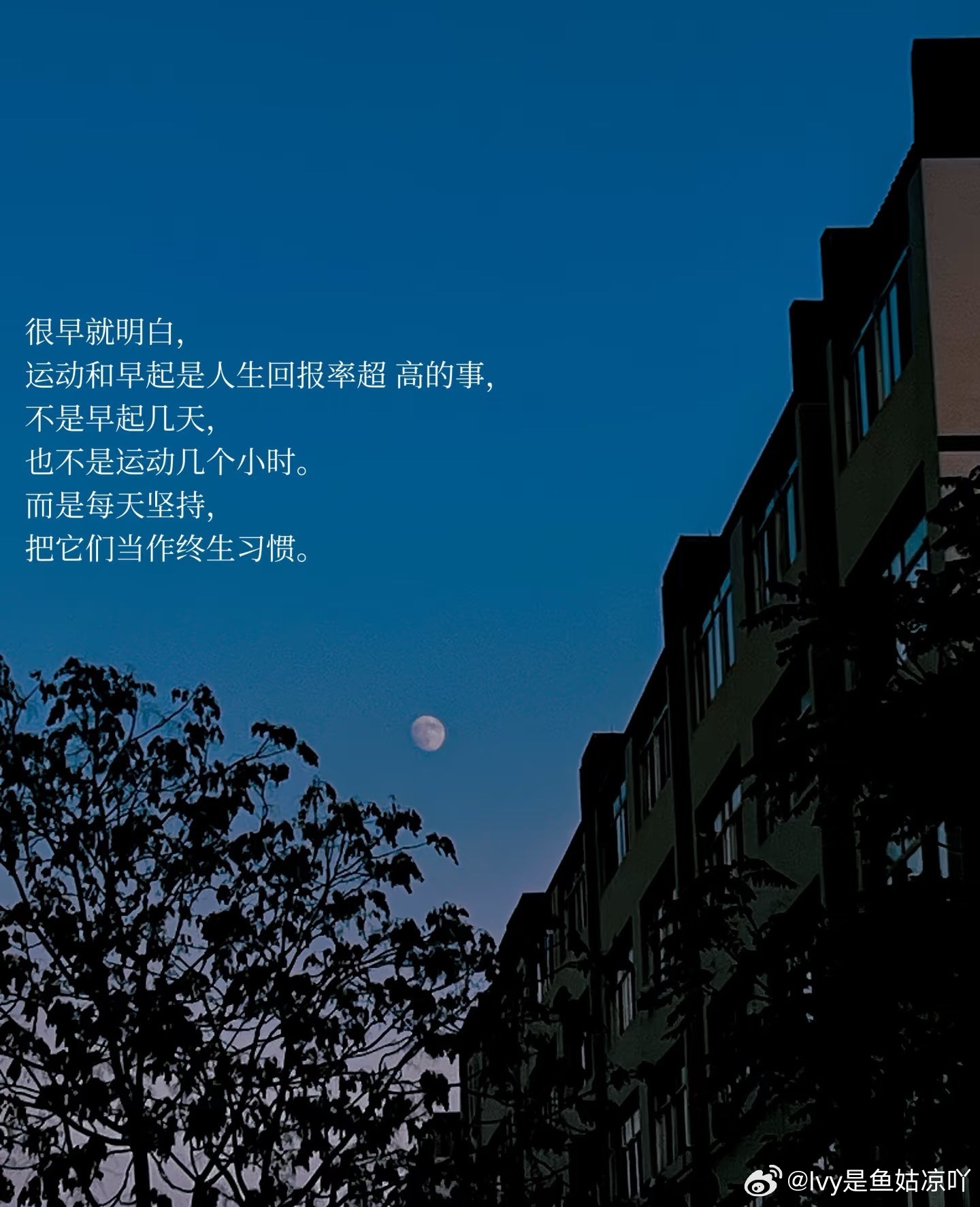 我学会了掌控生活，当别人还再被闹钟反复折磨时，我已经完成了锻炼、早餐和阅读。时间