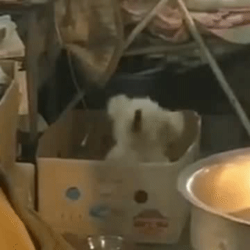 田柾国  一模一样呀՞••՞ 
