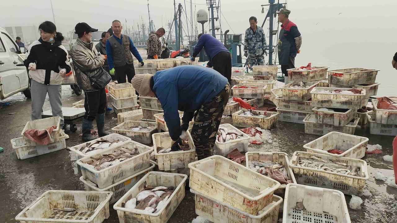 我的今日状态：😁轻松愉快
我这里的天气：🌤️多云

今天大雾天早上七点多来乳