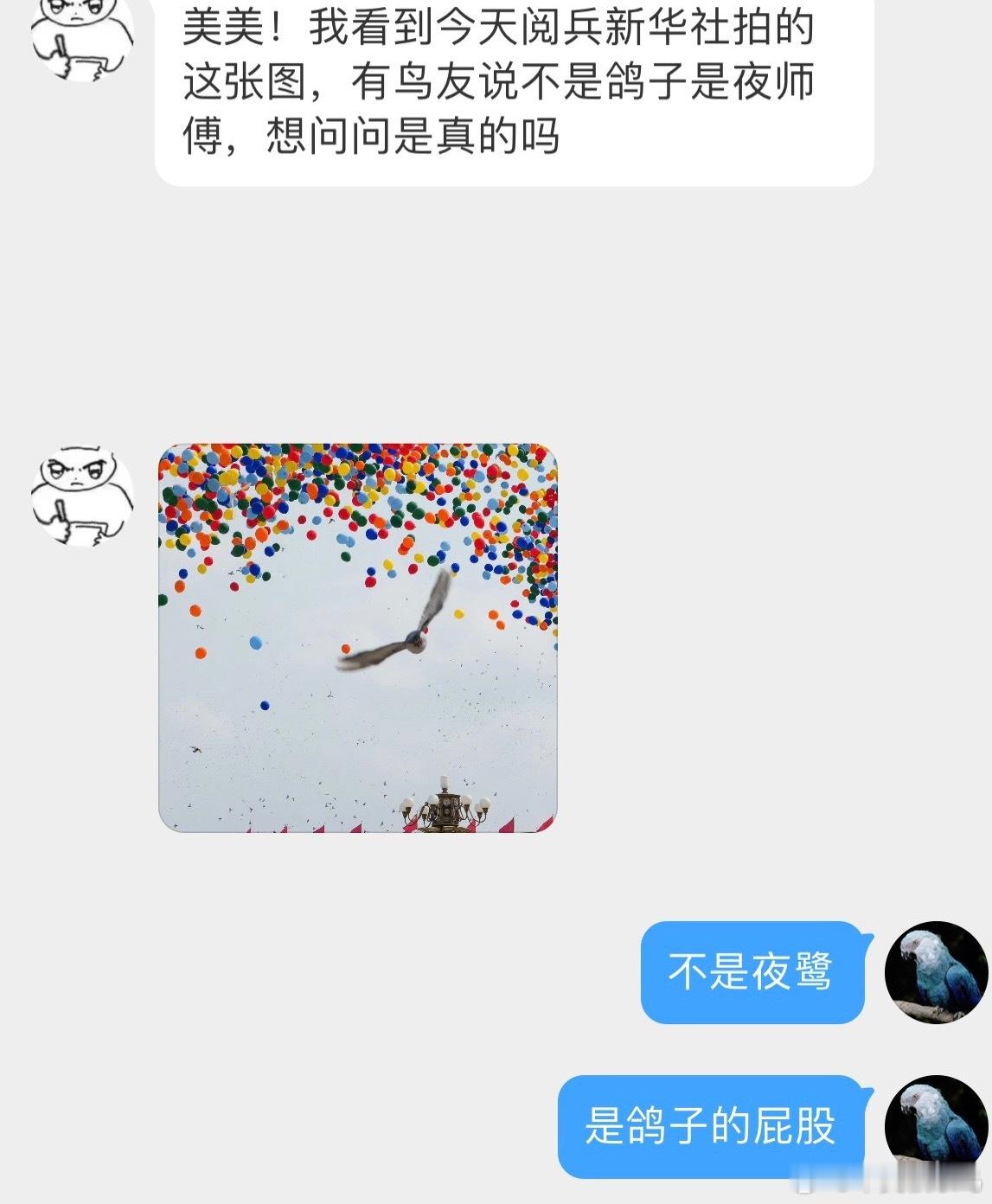 很多小天才私信问阅兵出镜的是不是夜鹭省流版：不是夜鹭 是鸽子的屁股分析版小图乍一