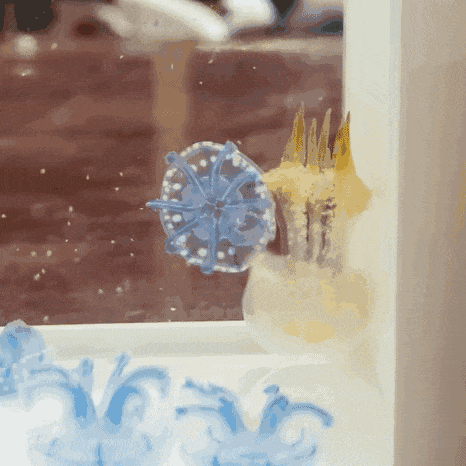 俩水母这是在干啥？
另外，到底是谁主动的？