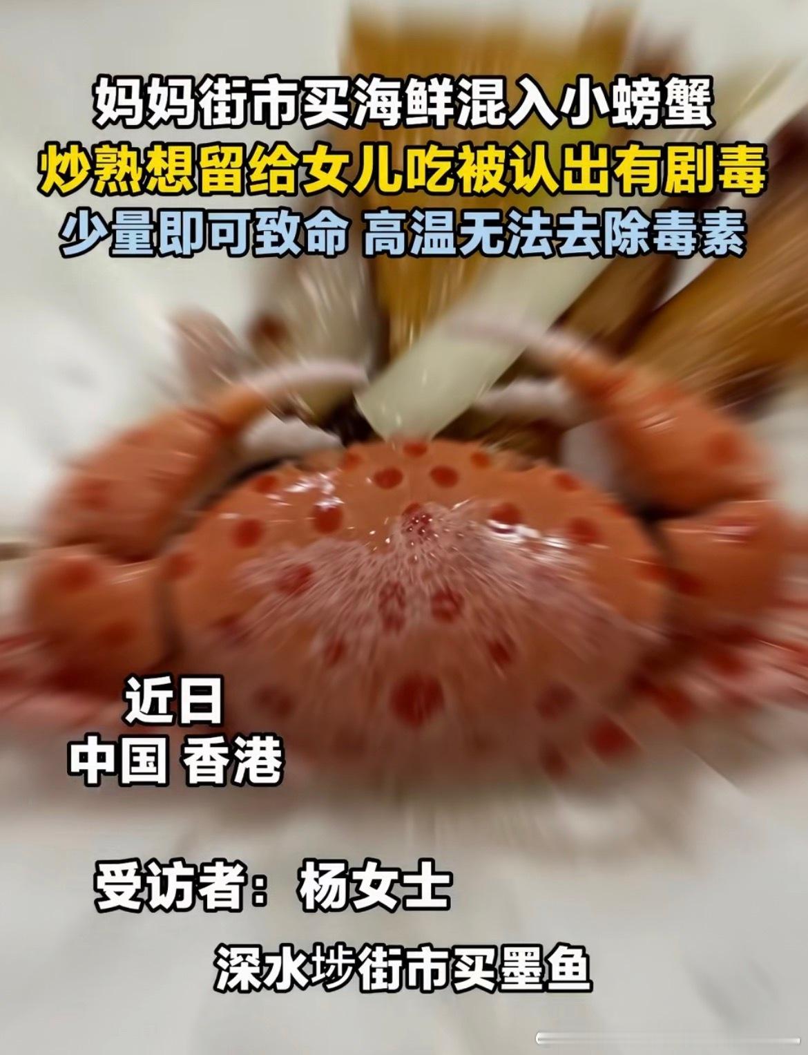 女子买海鲜混入剧毒红斑斗蟹差点误食真的捏一把冷汗！买墨鱼混进剧毒红斑斗蟹，炒熟本