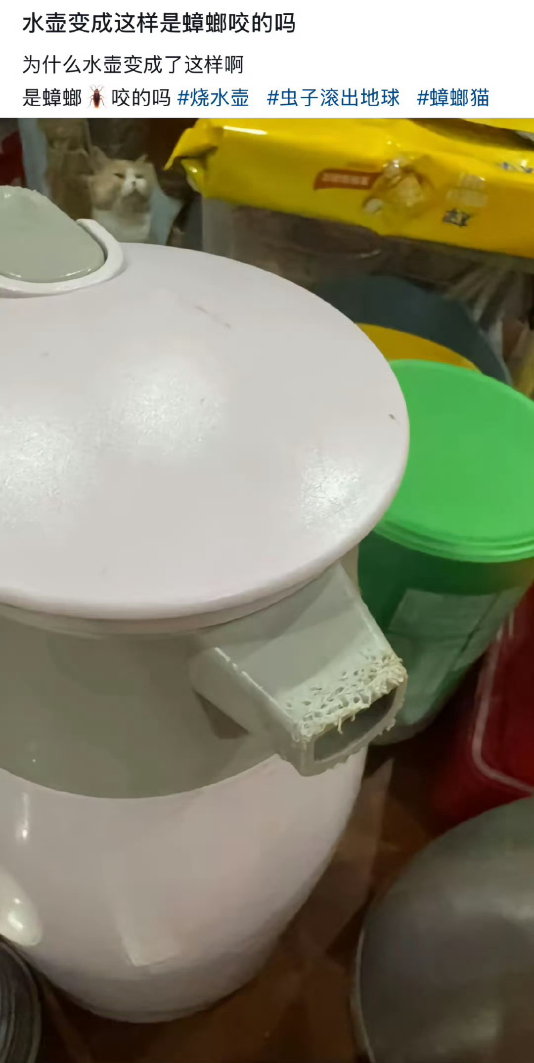 不是蟑螂是令郎啊啊啊，不是蟑螂是令郎，我笑嗨了，啊啊啊 ​​​