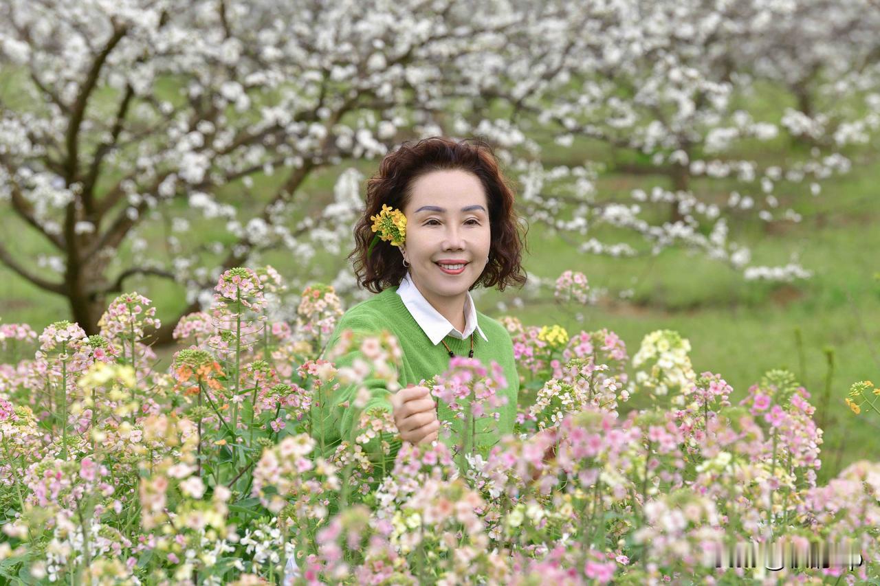 【春日限定·油菜花拍照】
花期有限，浪漫无边。