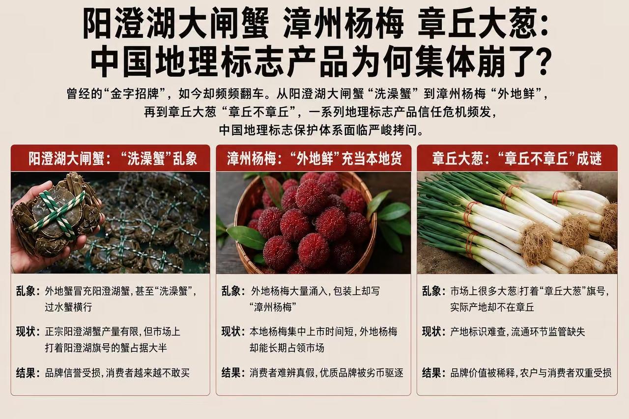 阳澄湖大闸蟹、漳州杨梅、章丘大葱曾经的“中国地理标志产品”金字招牌，如今先后或频