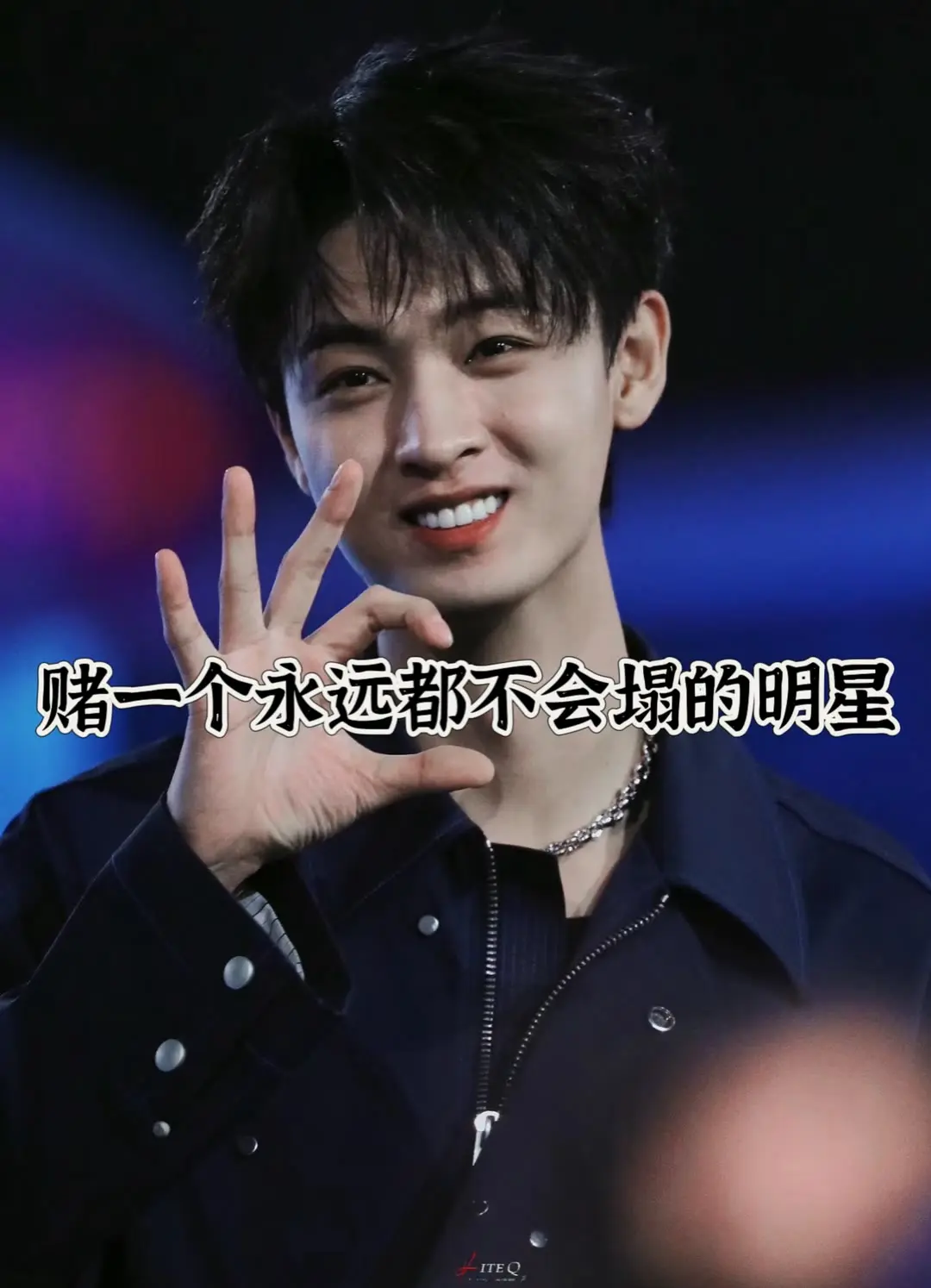 赌一个不会塌的明星