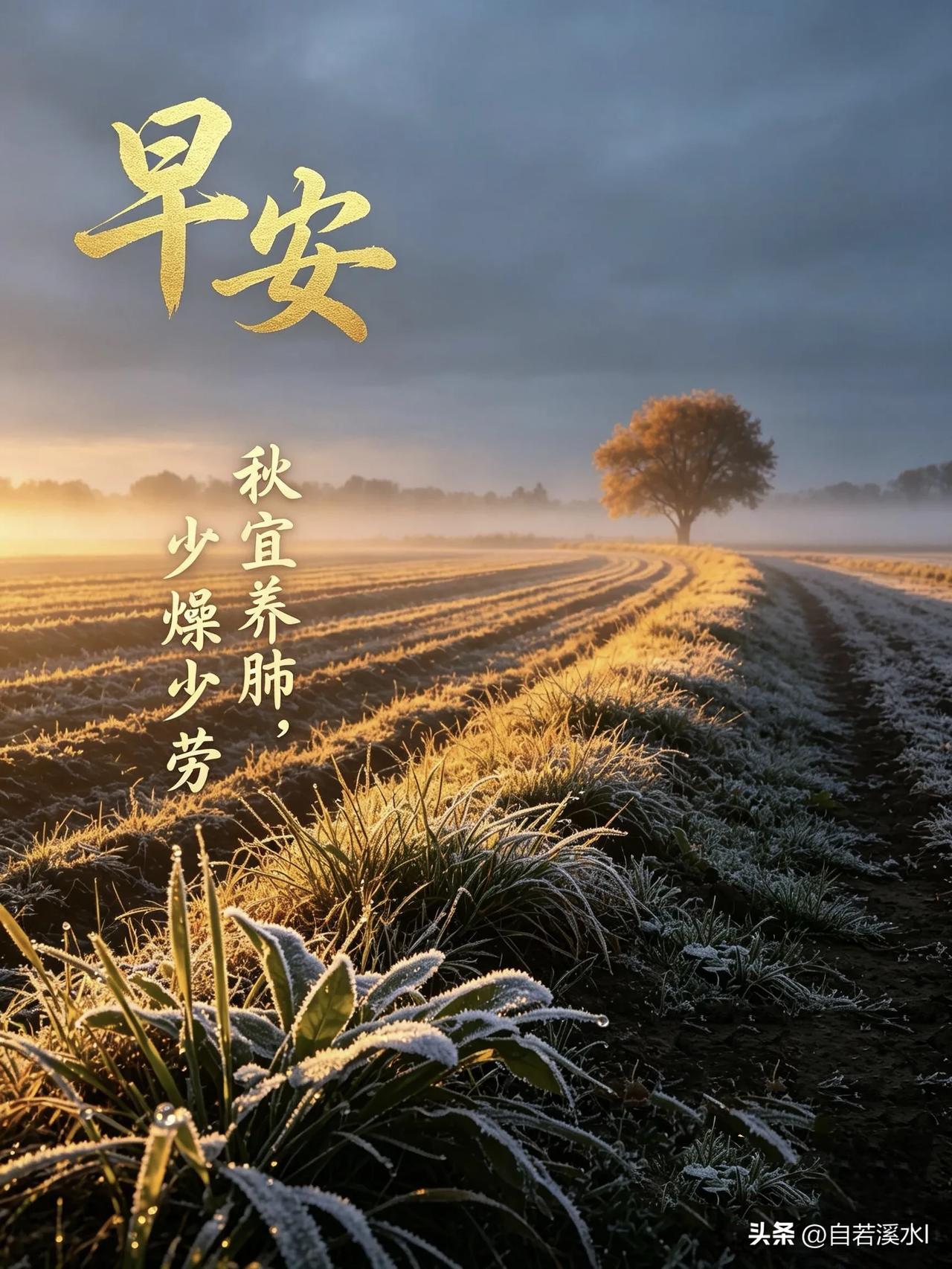 晨霜覆原野，晓日送清宁，秋寒多珍重，早安吉祥。