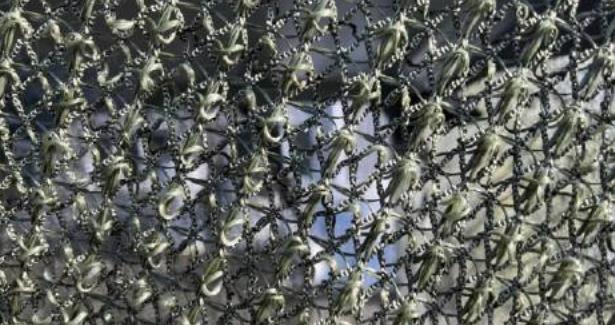 乌克兰无人机横行的好日子要到头了？谁也没料到，终结它们的不是更先进的防空导弹，而