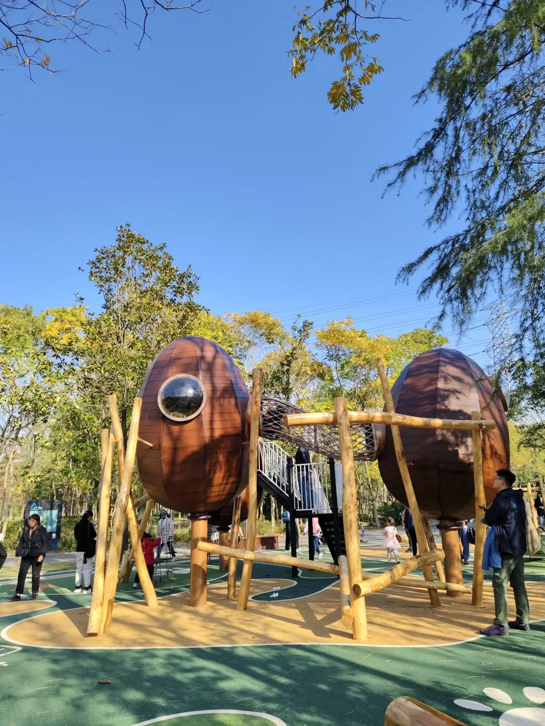 启动林公园之松果乐园