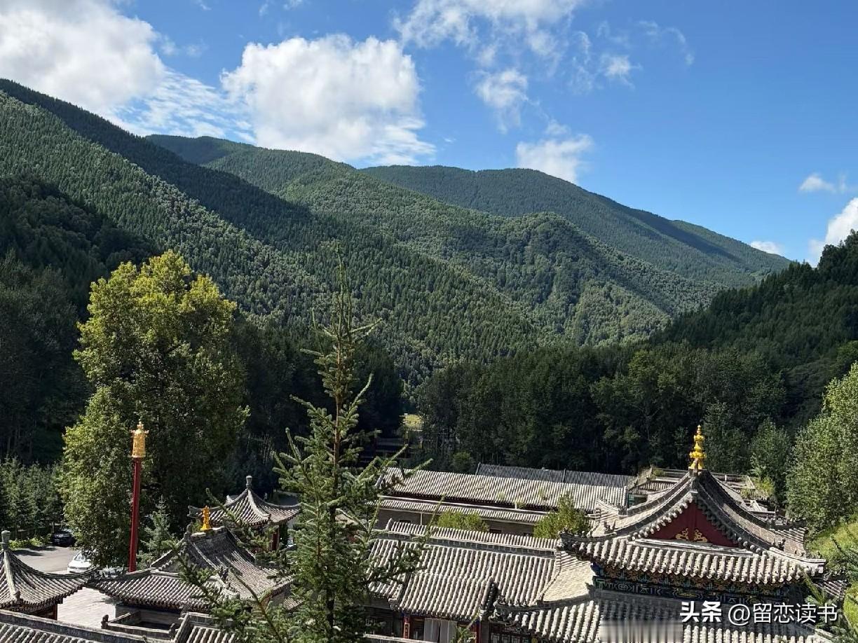 60、70后的婆媳关系，集体有一个共同的发展规律，大多是分这五步走过来的。
第一