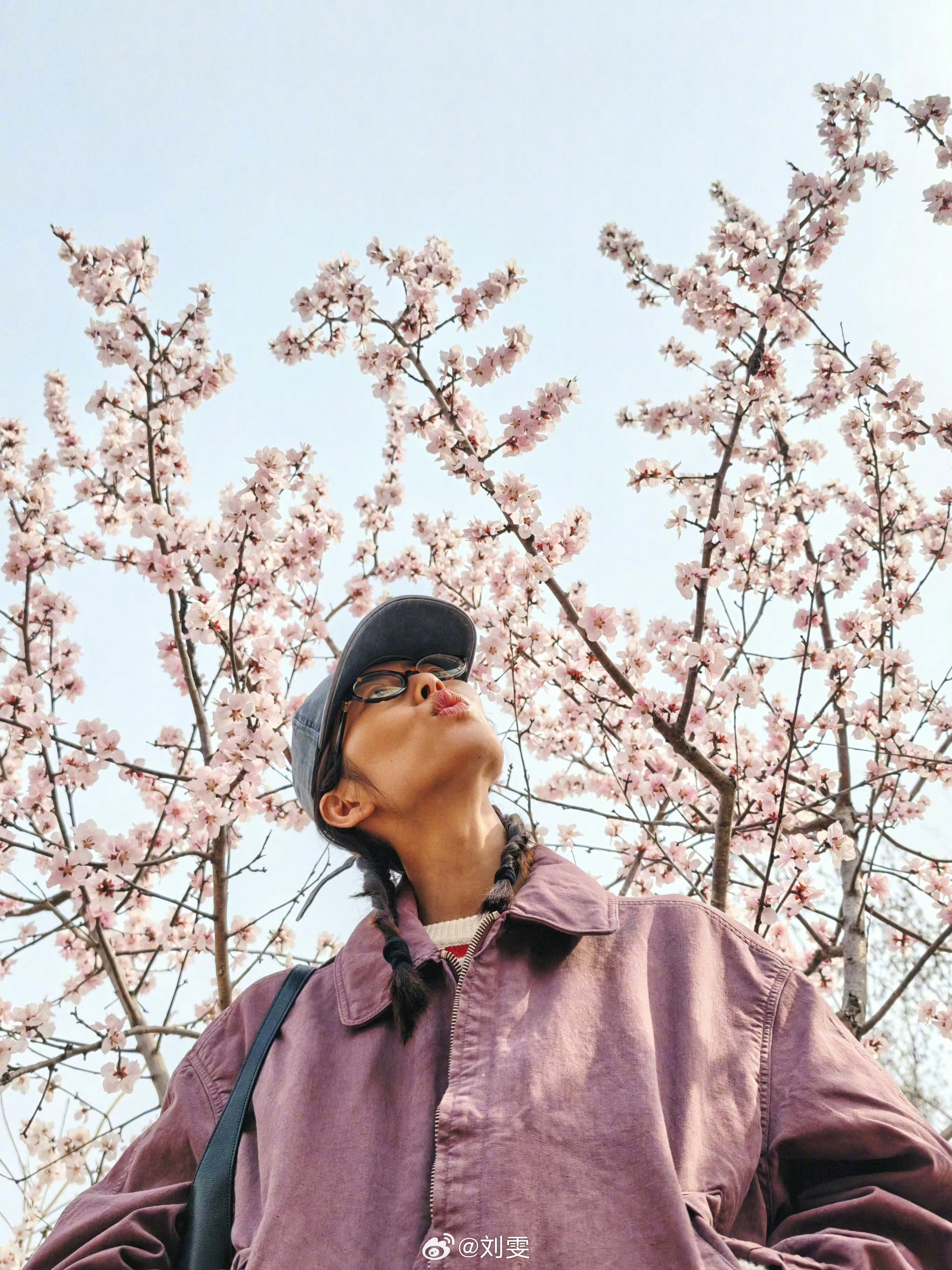 刷微博吓我一跳原来你带着大表姐刘雯看桃花去了呀 北京