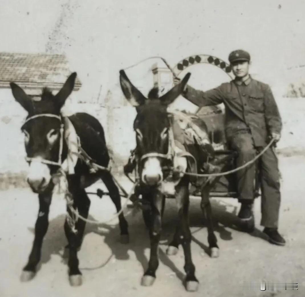 每到节假日，我都能想起刚毕业担任司务长时，连队会餐我到团长家买鸡的事情。

那是