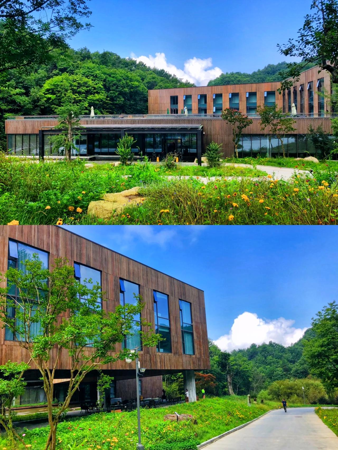 我觉得这个夏天我可能占山为王了！210国道直向目的地，一路景色如诗如画。随手拍即