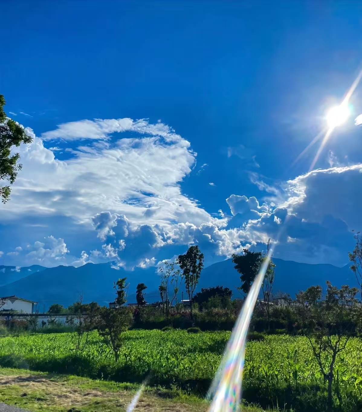 高强度高集中注意力的工作了几天一松懈下来 感觉身体哪里都不舒服😞放假就得去之前