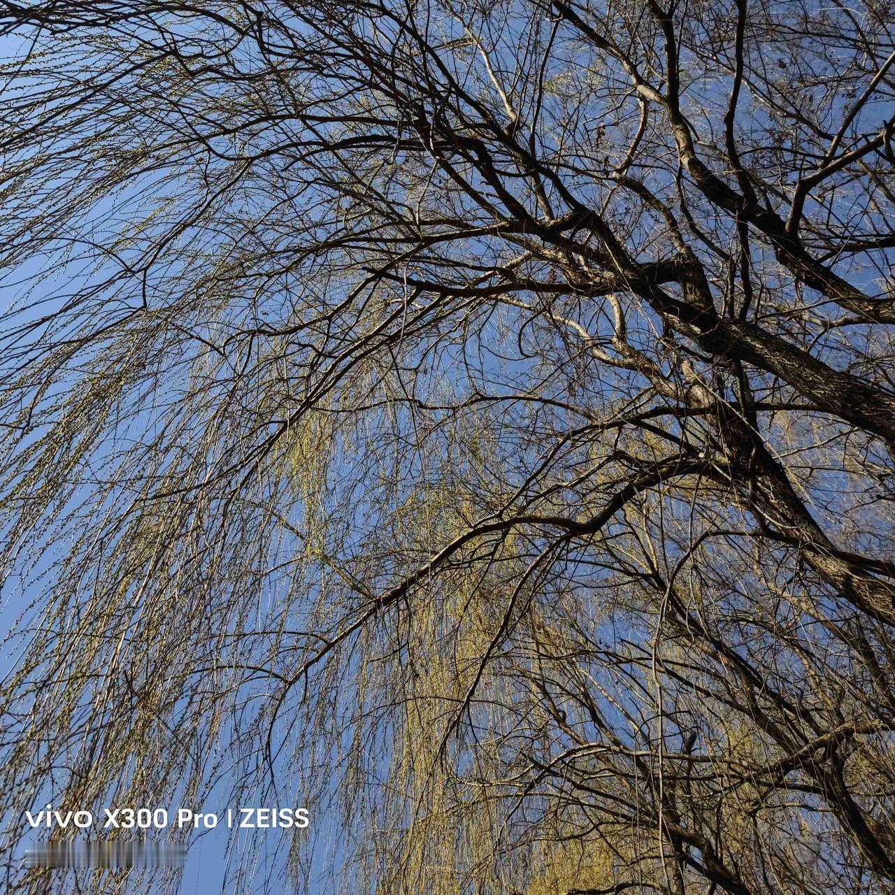 今天天气，阴天，有小雨，气温零上8度至零上19度，西南风5级，空气质量，良。
